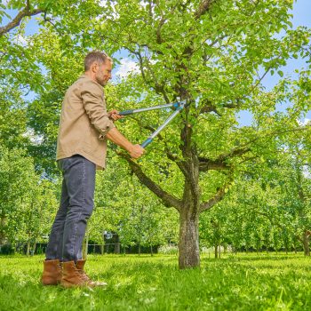 Coupe-branches EasyCut L 670 mm 45 mm- Gardena