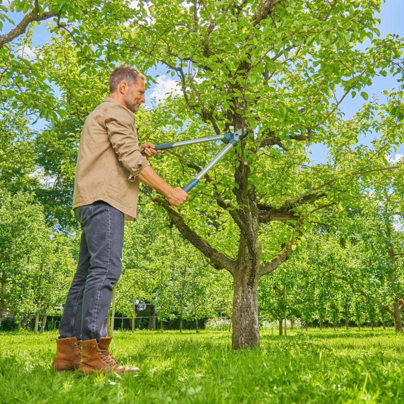 Coupe-branches EasyCut L 670 mm 45 mm- Gardena